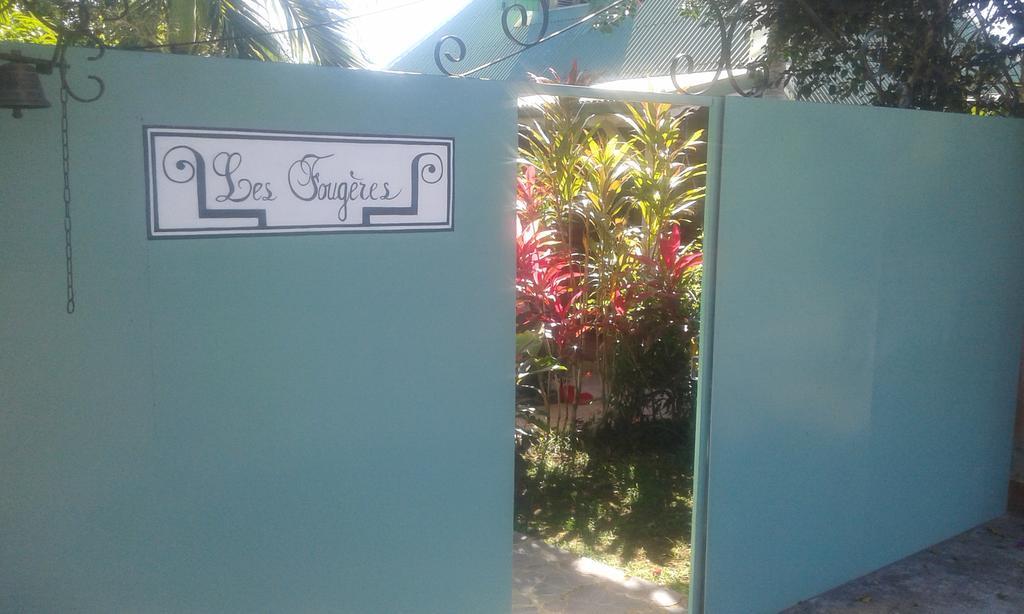 Les Fougères
